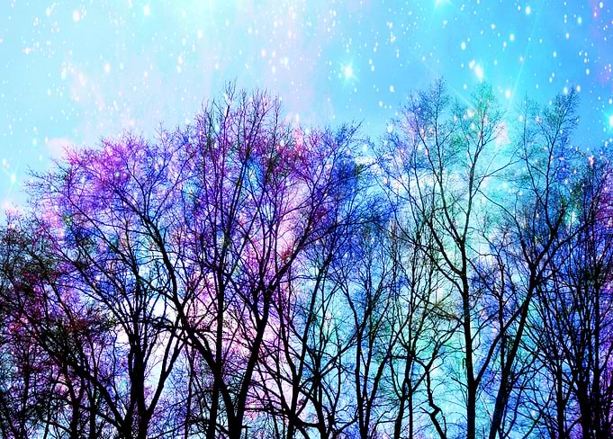 Black Trees Pastel Space
