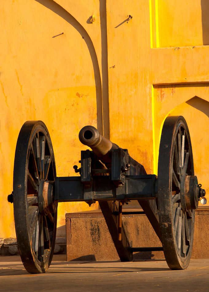 Cannon