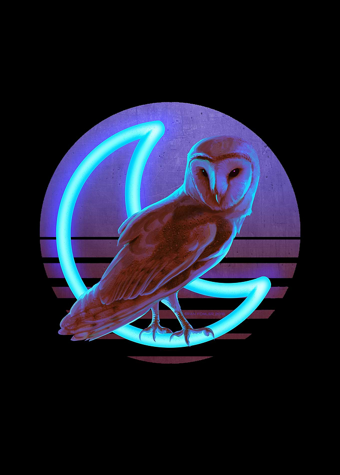 Night Owl