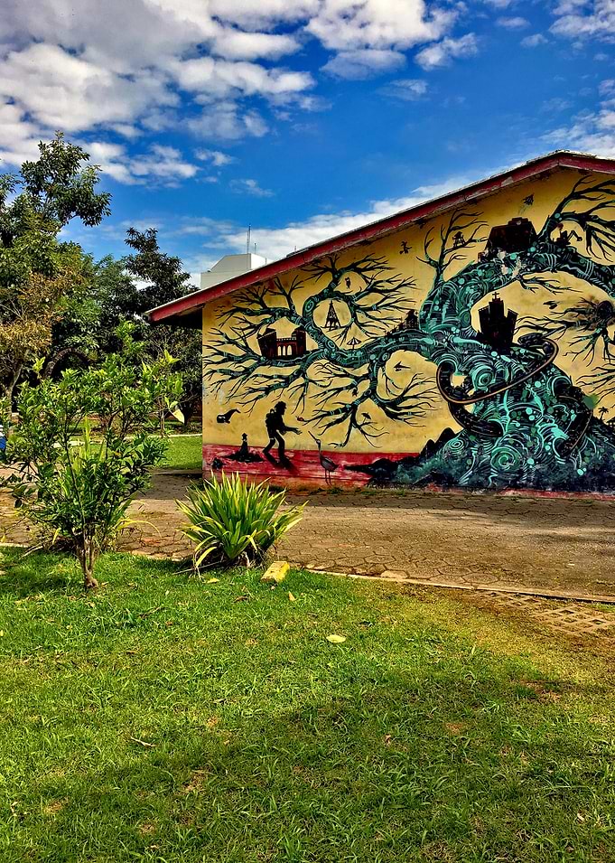 urban landscape brasil-3