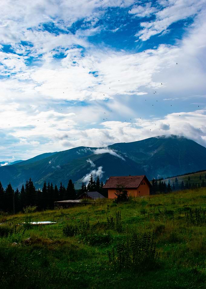 A peaceful view