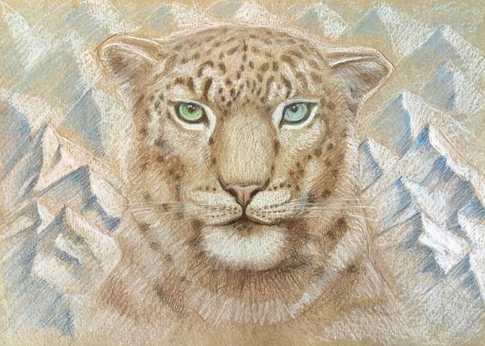 Snow Leopard