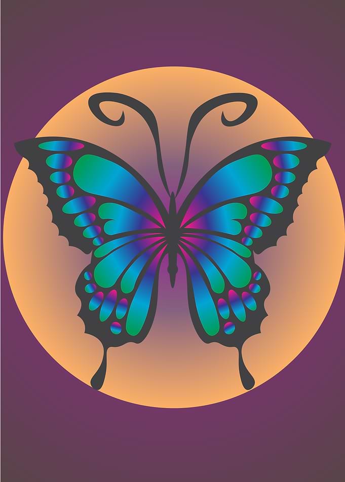 Colorful Butterfly