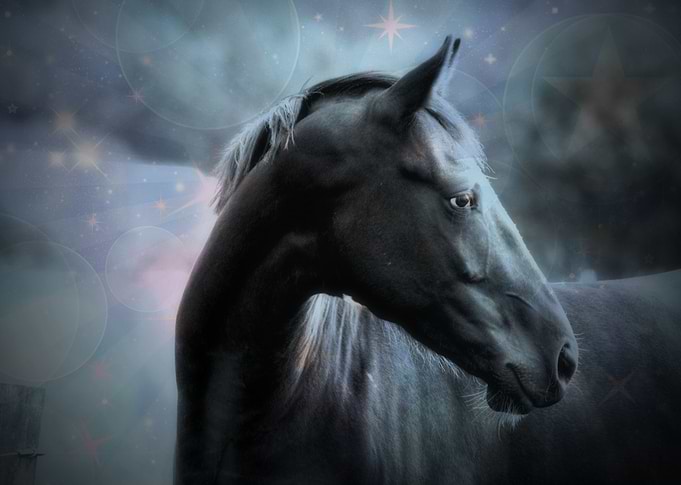 Horse Dream