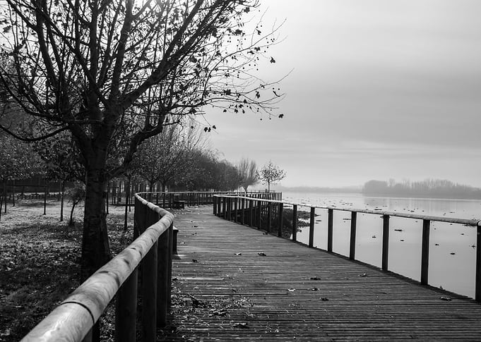The path