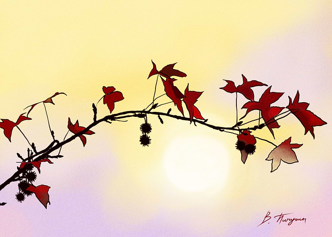 Branch
