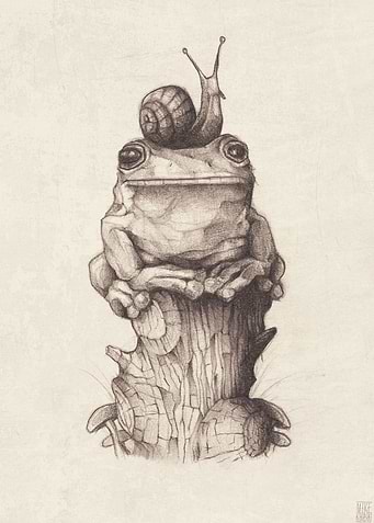 frog and snail