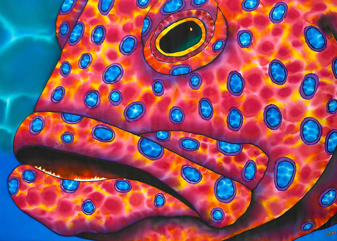 Coral Grouper