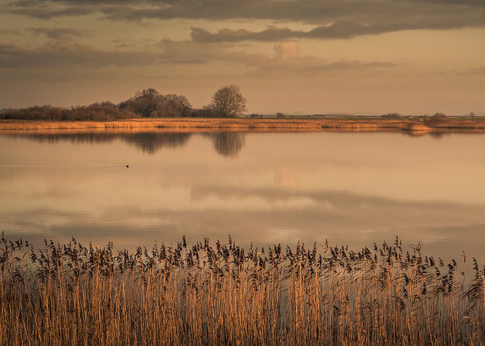 Reflection