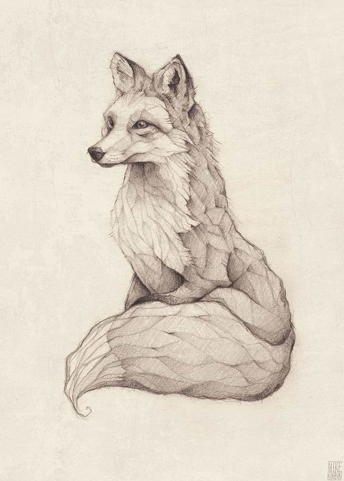 Vulpes Vulpes