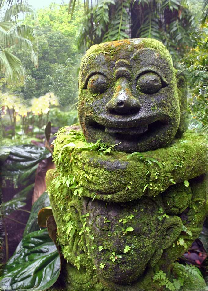 Botanical Garden Singa III