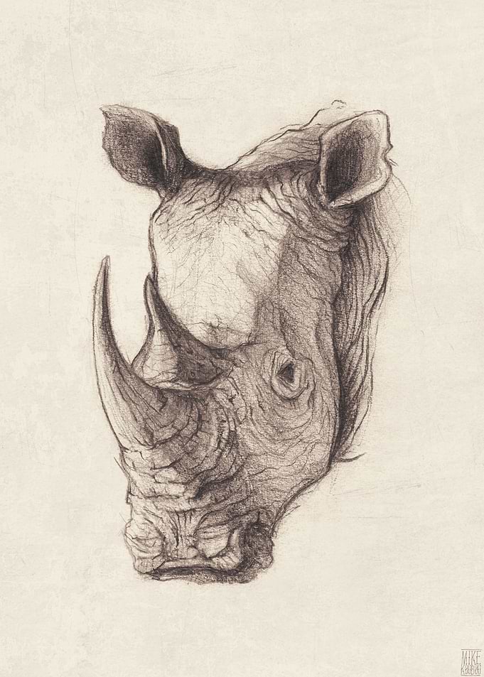rhinoceros