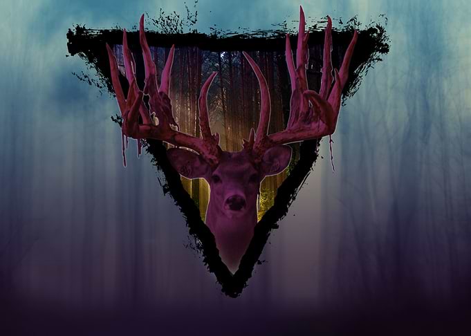 Lonely Deer