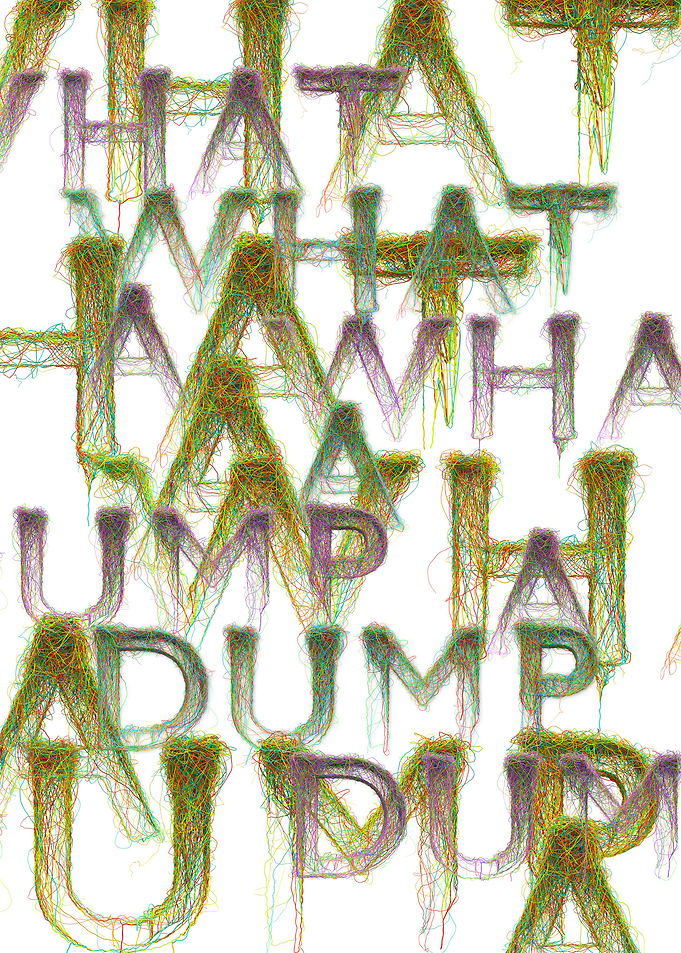 What a Dump