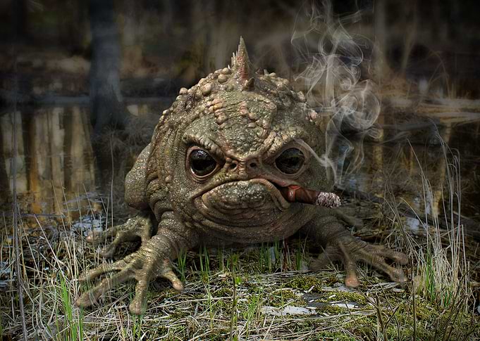 Grumpy frog