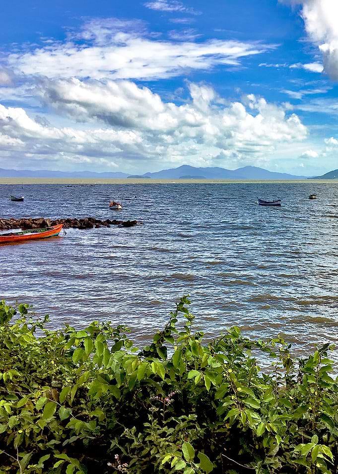 Agua Brasil-4