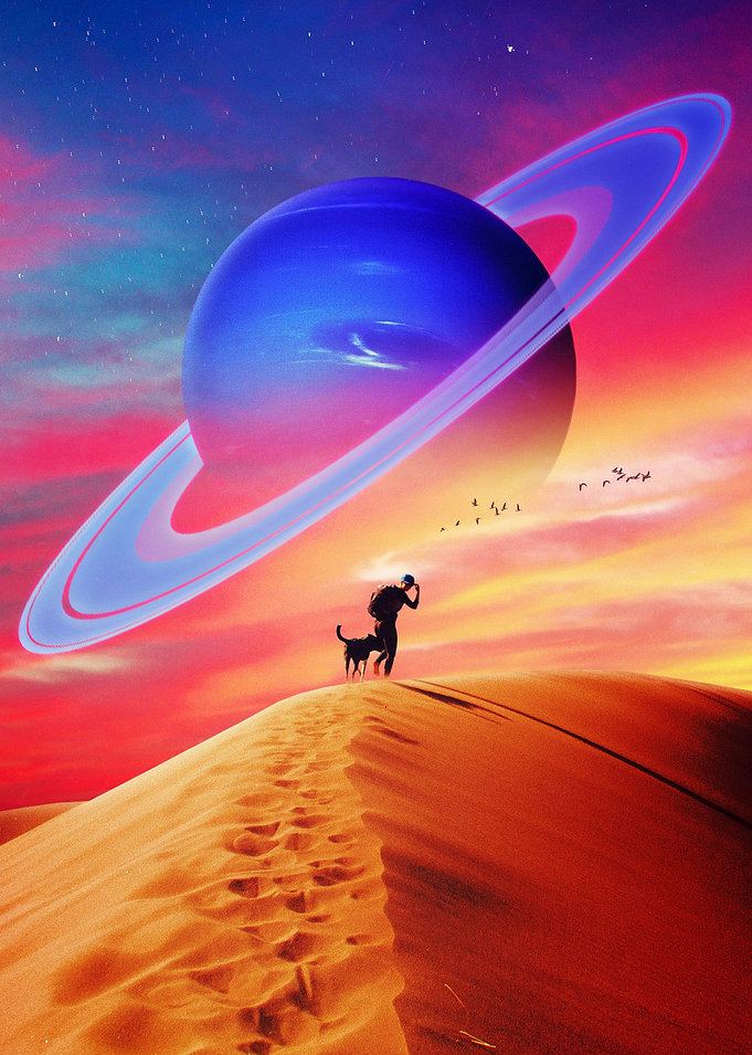 The Trip