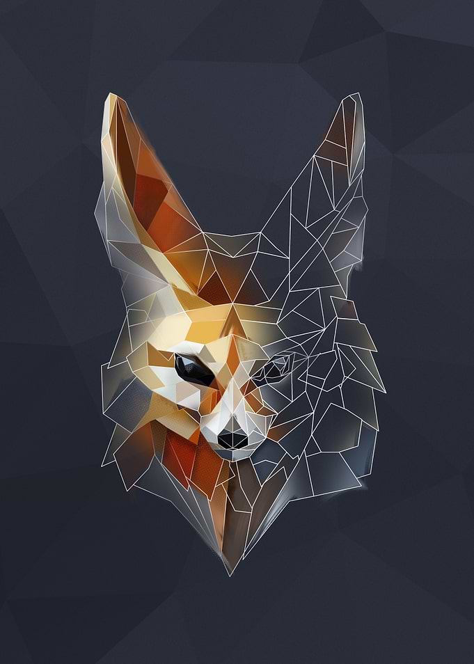 Fennec sketch