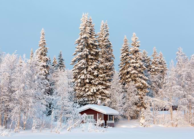 Winter Wonderland