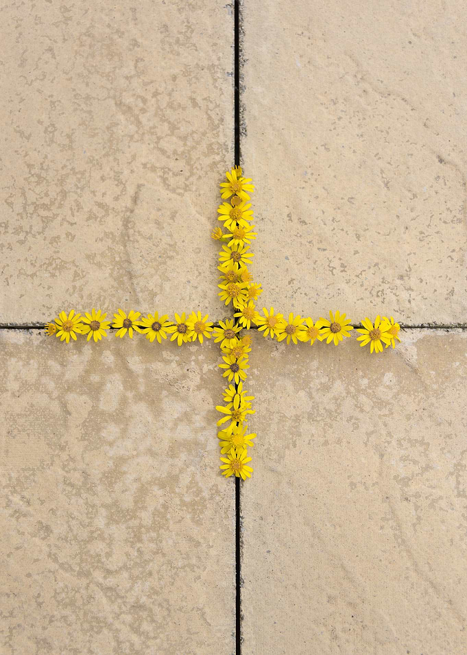 Yellow Flowery Abstract