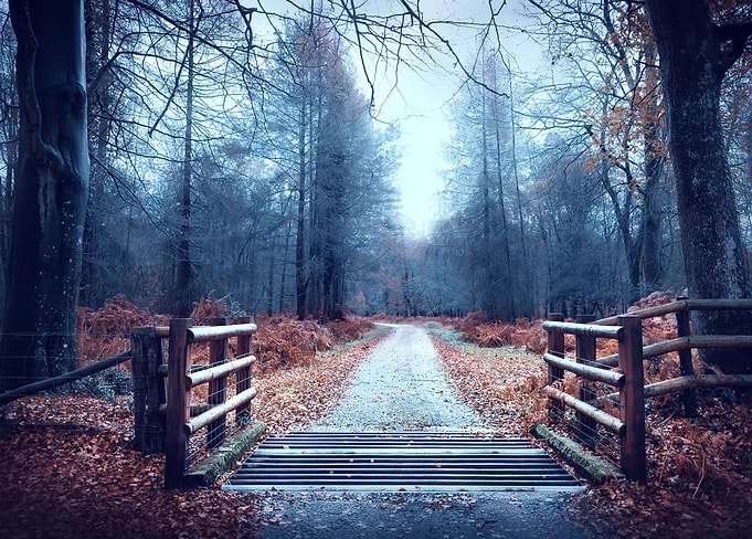 Into Mystery