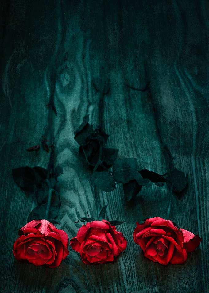 Three red roses