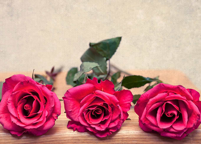 Three Roses