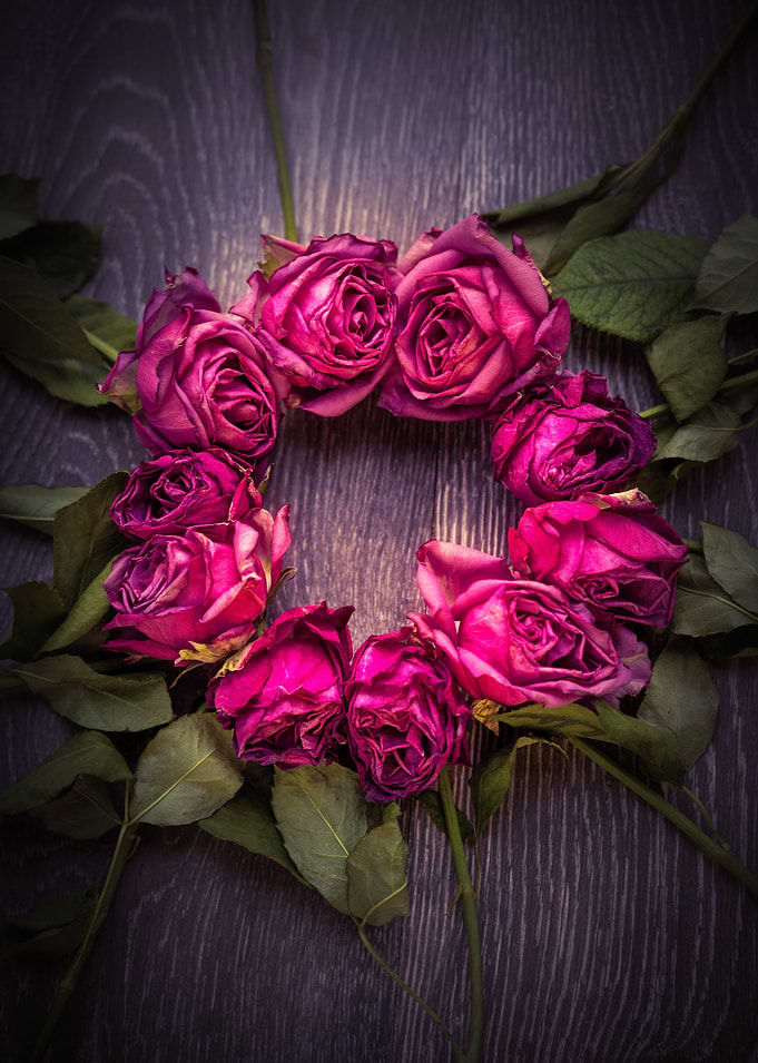 Ornamental Roses