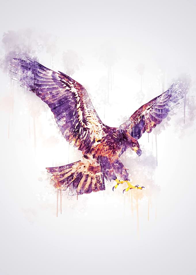 Eagle