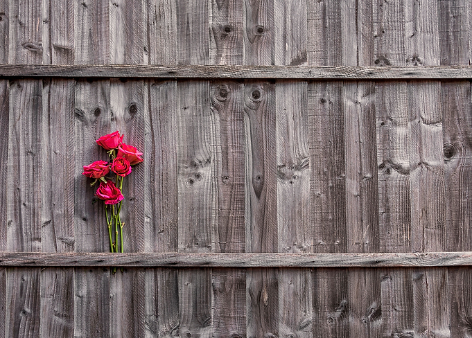 Just Roses