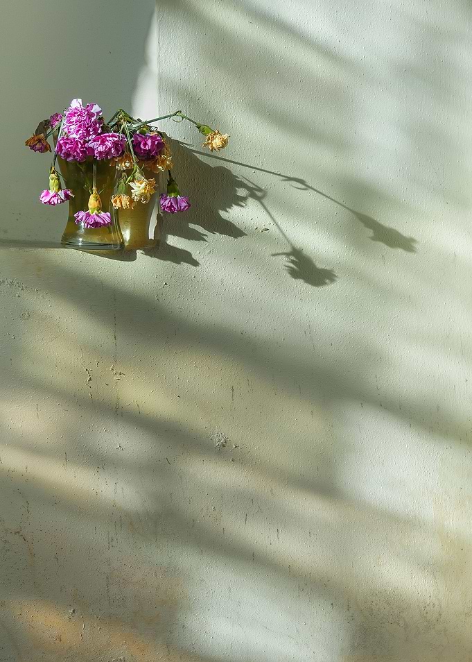 Corner Flowers