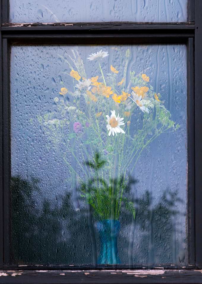 Wild Flowers