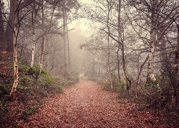 Hazy Morning