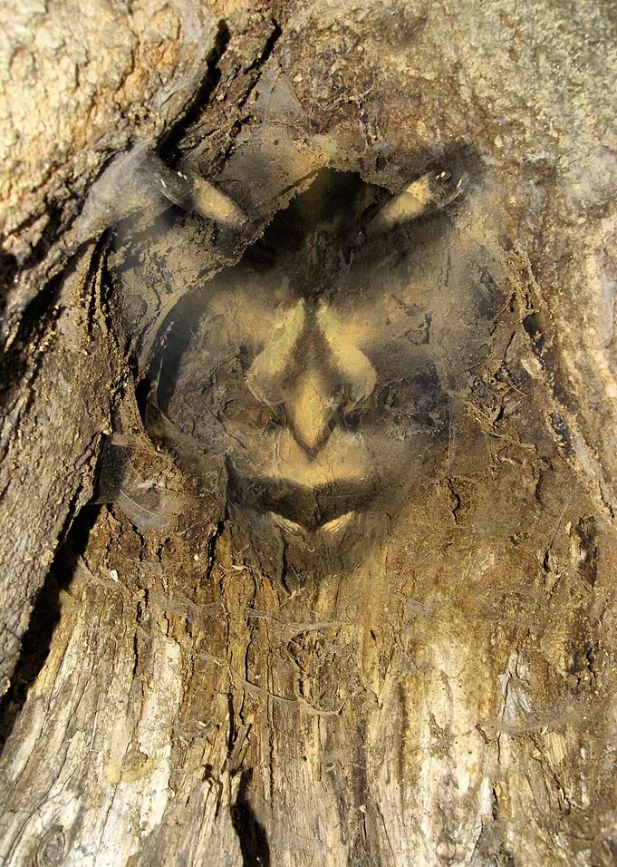 uwięzienie