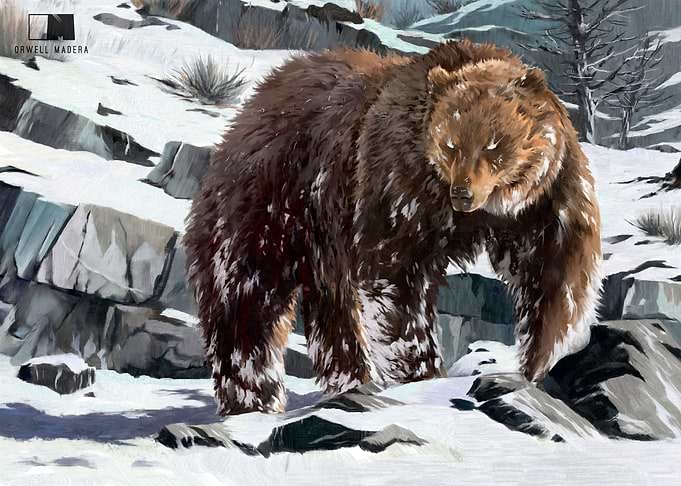 Bear Spirit