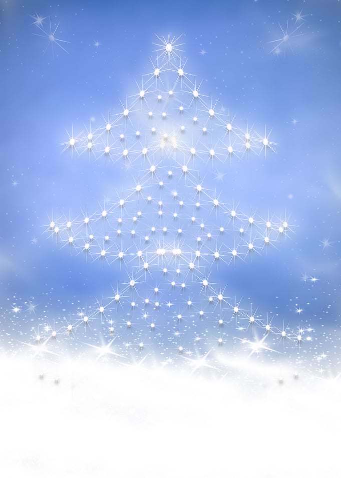 Winter Tree