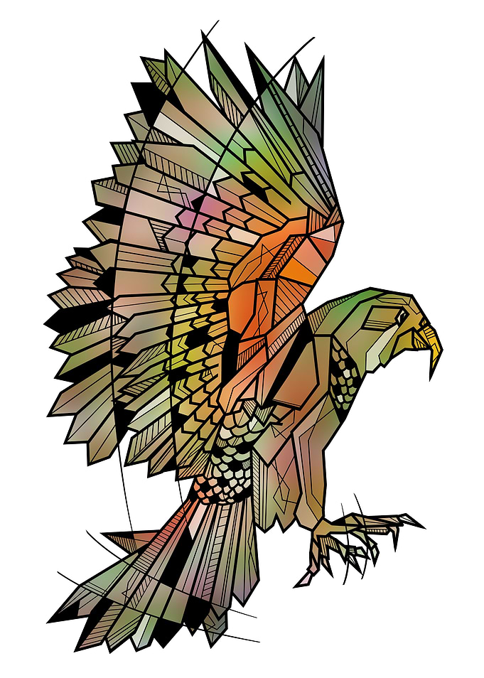 Kea New Zealand Parrot
