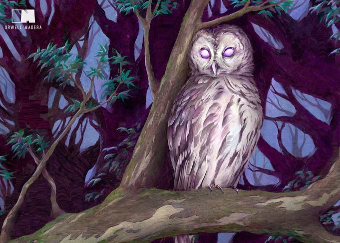 Owl Spirit