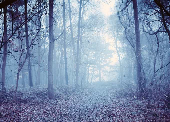 Hazy Path