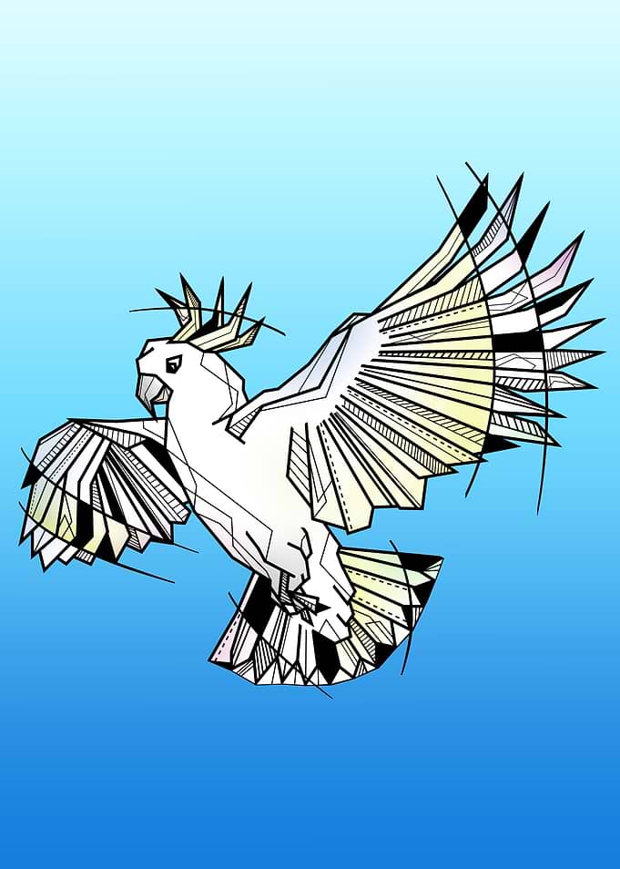 Cockatoo Flying Geometric