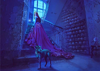 Magic Shelter