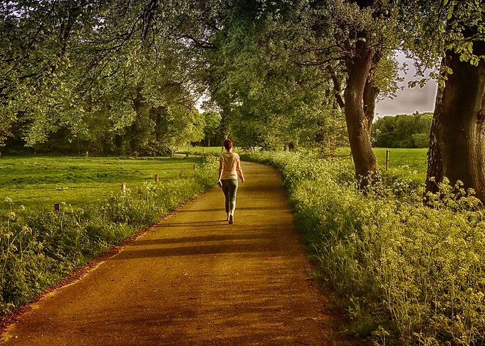 Walking the road