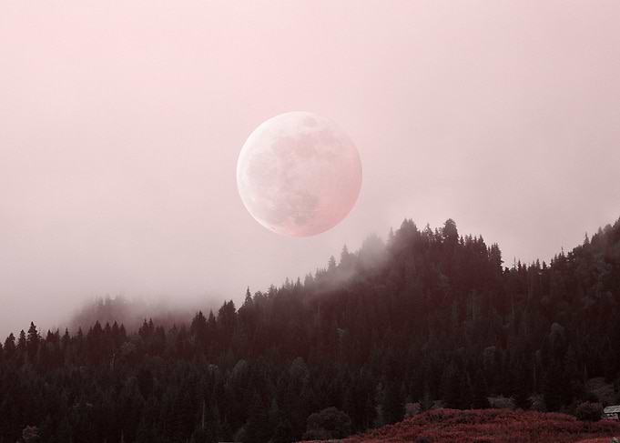 Pink sky