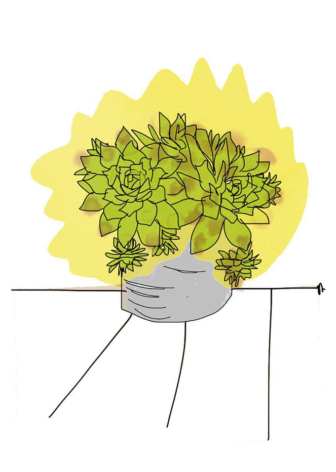 Tin pot
