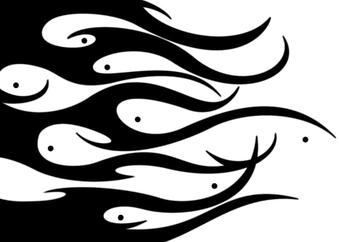 Black und white fishes