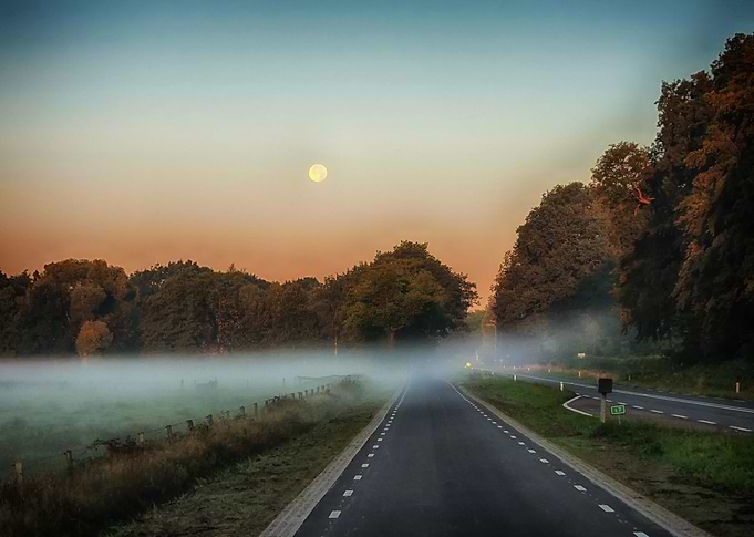 Fog over road