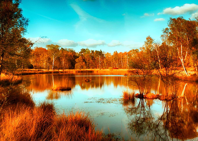 Reflection