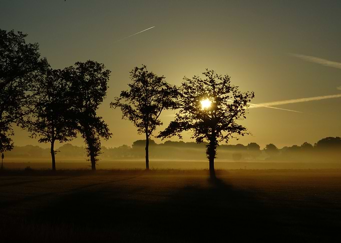 Early in the morning