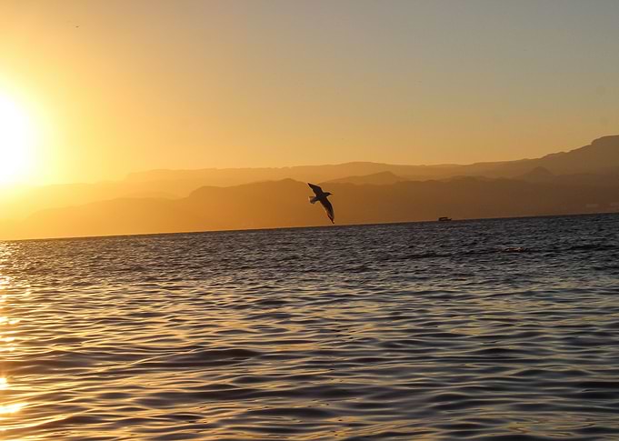 Sunset over the sea