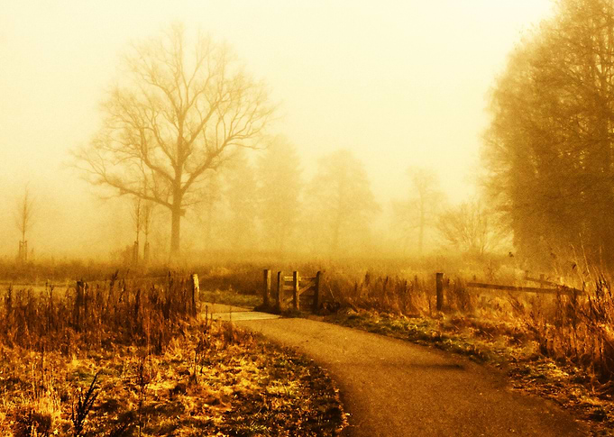Dutch landscape